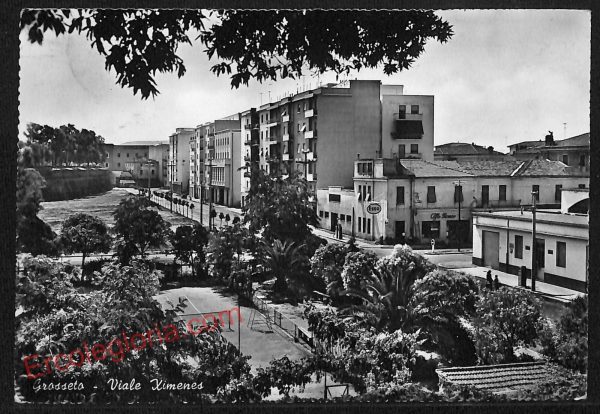 ag1896 - CARTOLINA D'EPOCA - Grosseto Città - Viale Ximenes  1960