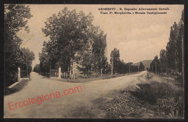 ag1903 - CARTOLINA D'EPOCA - Grosseto Città - Viale  Margherita