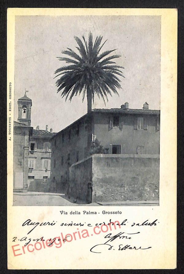 ag1909 - CARTOLINA D'EPOCA - Grosseto Città - Via della Palma  1906