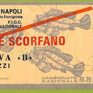 ZA1167 - Vecchio  BIGLIETTO PARTITA  CALCIO -  1978/1979: Napoli
