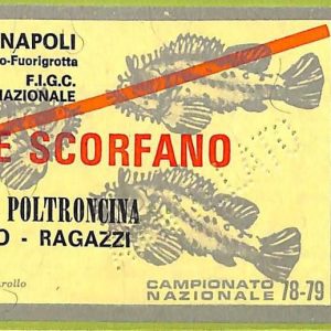 ZA1168 - Vecchio  BIGLIETTO PARTITA  CALCIO -  1978/1979: Napoli
