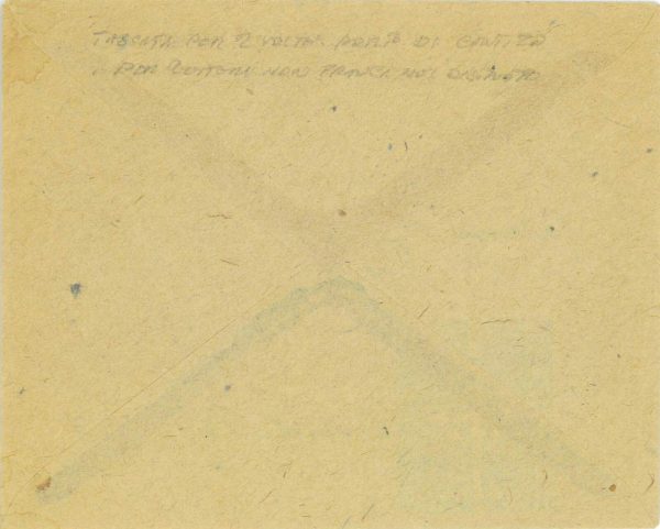 P0562 - TRENTINO ALTO ADIGE - Storia Postale - SEGNATASSE Bolzano su BUSTA 1919 - immagine 2