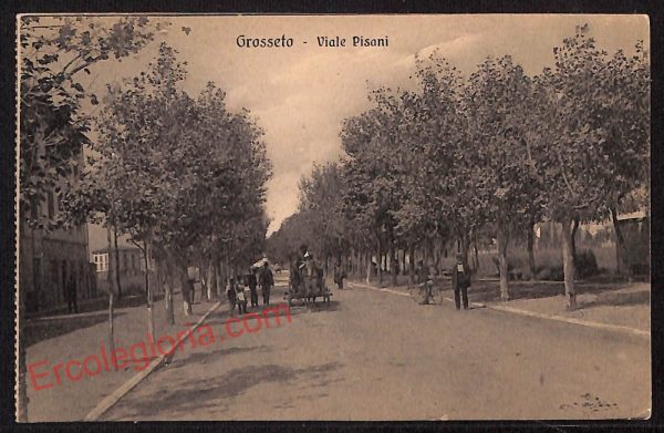 ag1963 - CARTOLINA D'EPOCA- Grosseto Città - Viale Pisani