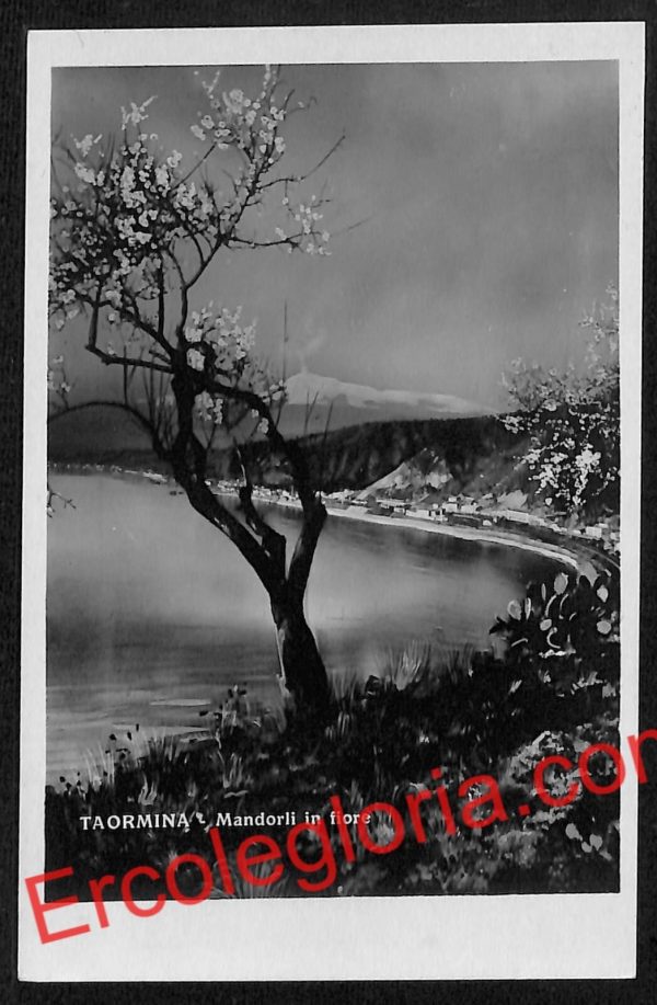 ag8793 - CARTOLINA D'EPOCA - Messina Provincia - Taormina
