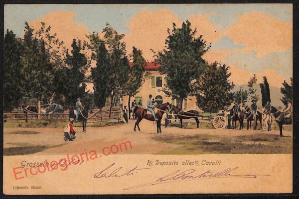 ag1983 - CARTOLINA D'EPOCA- Grosseto Città - Deposito Cavalli