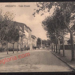 ag1984 - CARTOLINA D'EPOCA- Grosseto Città - Viale Pisani
