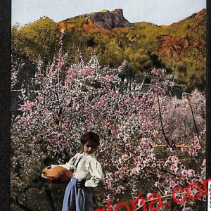 ag8805 - CARTOLINA D'EPOCA - Messina Provincia - Taormina