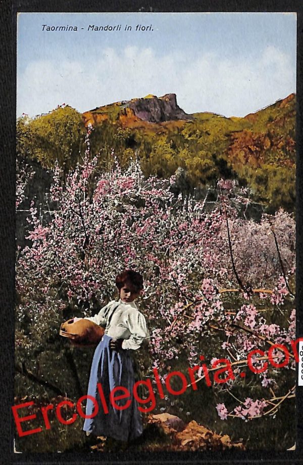 ag8805 - CARTOLINA D'EPOCA - Messina Provincia - Taormina