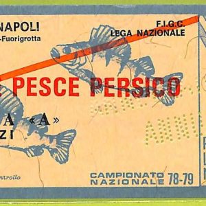 ZA1187 - Vecchio  BIGLIETTO PARTITA  CALCIO -  1978/1979: Napoli