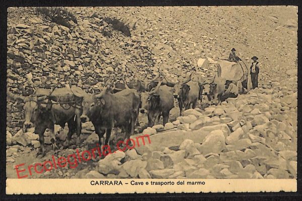 ag7923 - CARTOLINA D'EPOCA - Massa Carrara Città - Cave del marmo