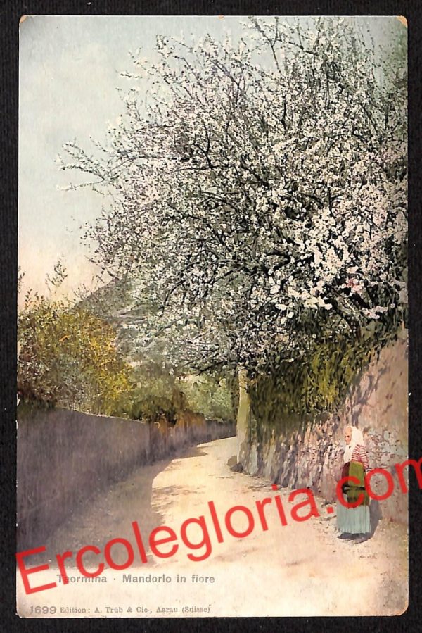 ag8831 - CARTOLINA D'EPOCA - Messina Provincia - Taormina