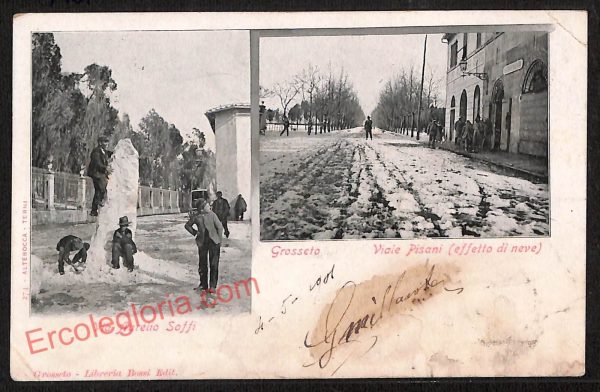 ag2010 - CARTOLINA D'EPOCA - Grosseto Città - Viale Pisani