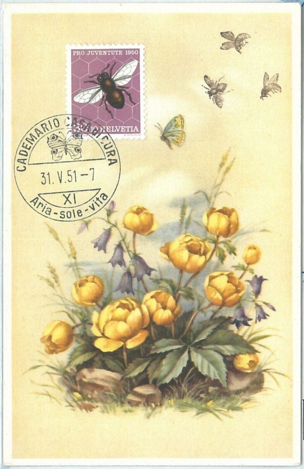 68916 - SWITZERLAND -  MAXIMUM CARDS 1951  - PRO JUVENTUTE Butterflies