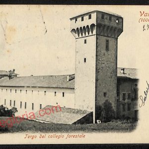 ag0038 - CARTOLINA D'EPOCA - Firenze Provincia - Vallombrosa