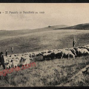ag0046 - CARTOLINA D'EPOCA - Firenze Provincia - Vallombrosa