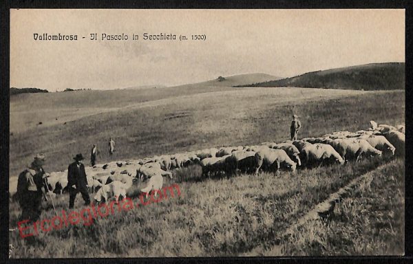 ag0046 - CARTOLINA D'EPOCA - Firenze Provincia - Vallombrosa