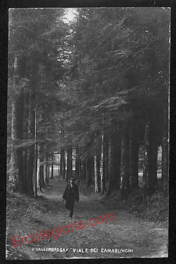 ag0053 - CARTOLINA D'EPOCA - Firenze Provincia - Vallombrosa 1905