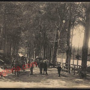 ag0069 - CARTOLINA D'EPOCA - Firenze Provincia - Vallombrosa 1916