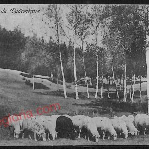 ag0055 - CARTOLINA D'EPOCA - Firenze Provincia - Vallombrosa 1915