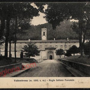 ag0056 - CARTOLINA D'EPOCA - Firenze Provincia - Vallombrosa