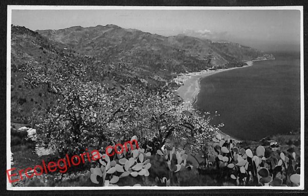 ag8856 - CARTOLINA D'EPOCA - Messina Provincia - Taormina