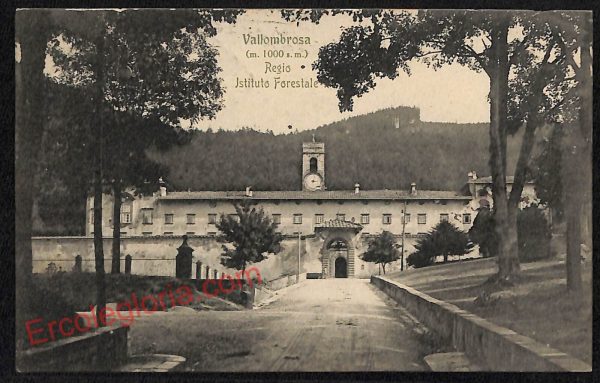 ag0065 - CARTOLINA D'EPOCA - Firenze Provincia - Vallombrosa 1912