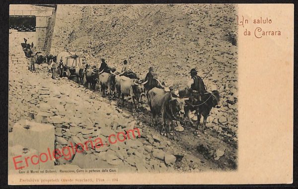 ag7942 - CARTOLINA D'EPOCA - Massa Carrara Città - Cave di marmi