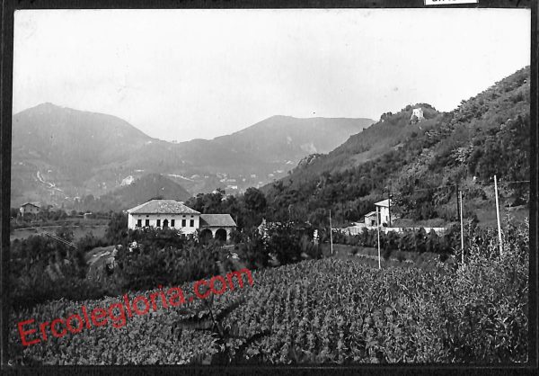 ah4588 - CARTOLINA D'EPOCA - Padova Provincia - Teolo