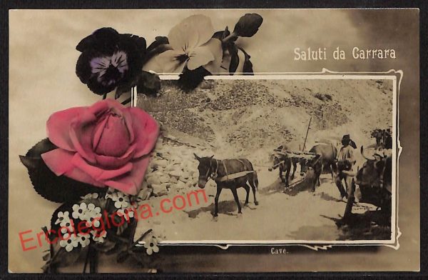 ag7949 - CARTOLINA D'EPOCA - Massa Carrara Città - Cave