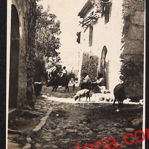 ag8878 - CARTOLINA D'EPOCA - Messina Provincia - Taormina