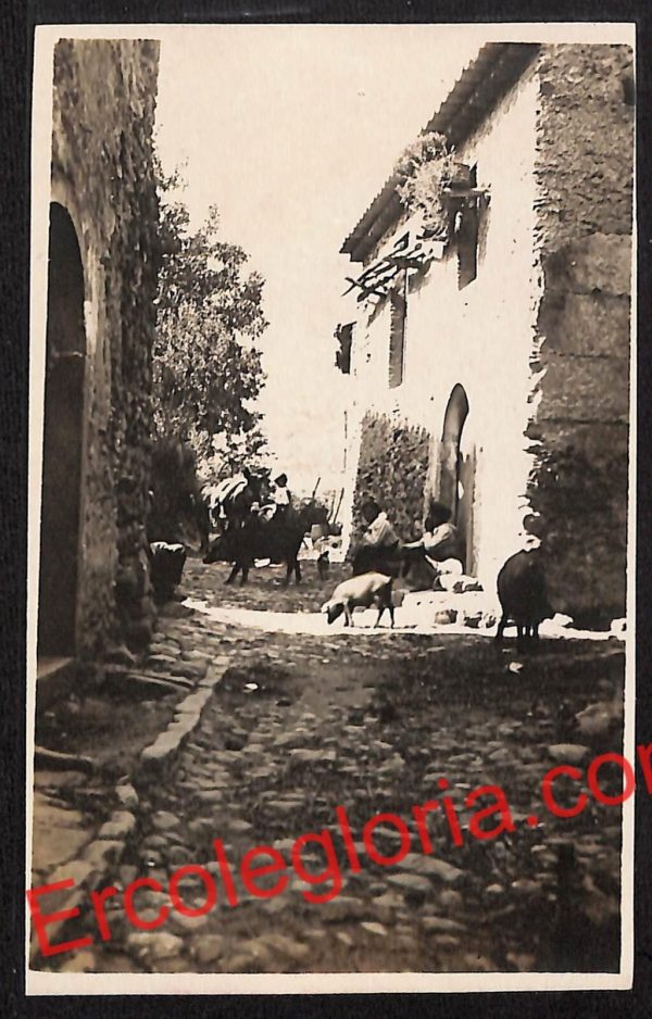 ag8878 - CARTOLINA D'EPOCA - Messina Provincia - Taormina
