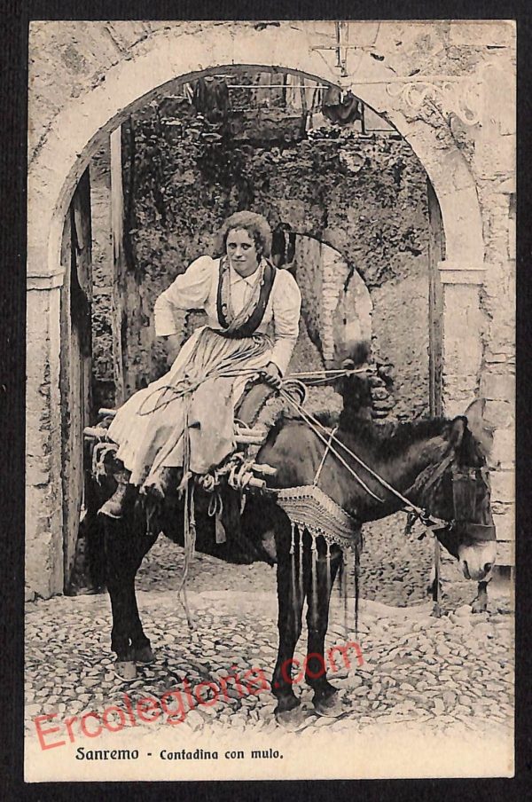 ag5332 - CARTOLINA D'EPOCA  - Imperia Provincia - Ventimiglia