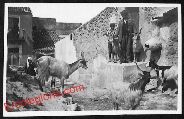 ag8886 - CARTOLINA D'EPOCA - Messina Provincia - Taormina