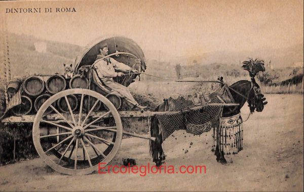 ad7898 - CARTOLINA D'EPOCA - Roma Città - Dintorni di Roma
