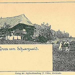 11762 - Ansichtskarten VINTAGE POSTCARD - Deutschland GERMANY -  SCHWARZWALD