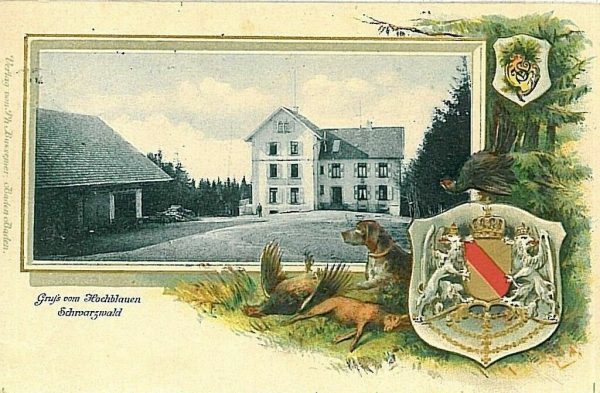 11760 - Ansichtskarten VINTAGE POSTCARD - Deutschland GERMANY -  Hochblauen 1900