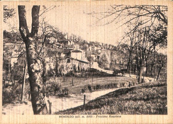 ab4634  -  CARTOLINA  D'EPOCA -  Cuneo Provincia -  MONTALDO