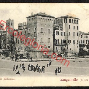 ae3355 - CARTOLINA  D'EPOCA - Verona Provincia - Sanguinetto