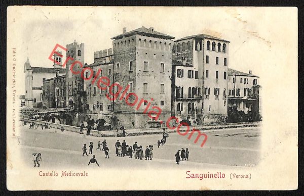 ae3355 - CARTOLINA  D'EPOCA - Verona Provincia - Sanguinetto
