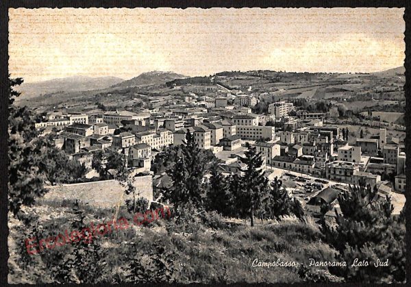 ae4549 - CARTOLINA D'EPOCA - Campobasso Città - Panorama