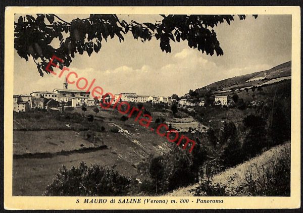 ae3361 - CARTOLINA  D'EPOCA - Verona Provincia - San Mauro di Saline