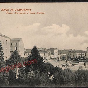 ae4556 - CARTOLINA D'EPOCA - Campobasso Città - Piazza Margherita
