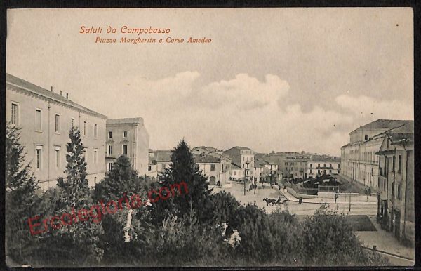 ae4556 - CARTOLINA D'EPOCA - Campobasso Città - Piazza Margherita