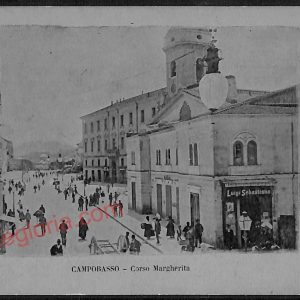 ae4560 - CARTOLINA D'EPOCA - Campobasso Città - Corso Margherita
