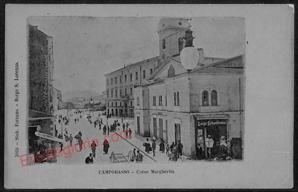 ae4560 - CARTOLINA D'EPOCA - Campobasso Città - Corso Margherita