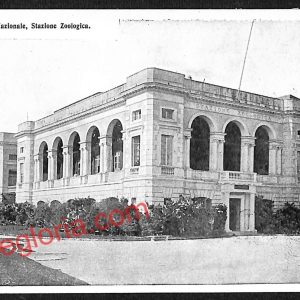 ag9663 - CARTOLINE D'EPOCA - Napoli Città - Stazione Zoologica