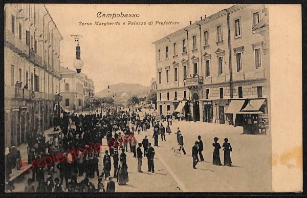 ae4561 - CARTOLINA D'EPOCA - Campobasso Città - Corso Margherita  1910
