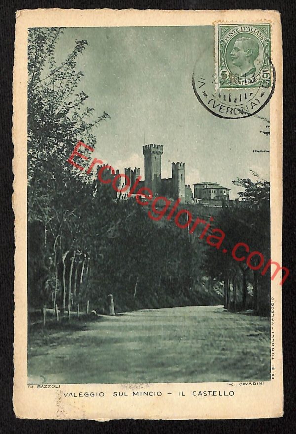 ae3378 - CARTOLINA  D'EPOCA - Verona Provincia - Valeggio sul Mincio