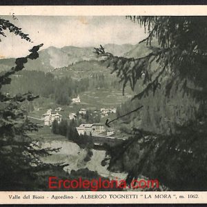 ae1072 - CARTOLINA  D'EPOCA - Belluno Provincia - Agordino  1941