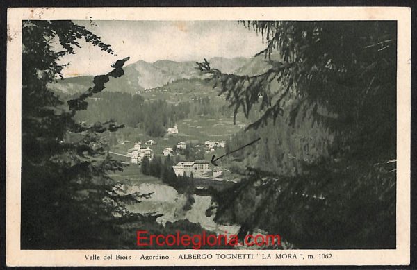ae1072 - CARTOLINA  D'EPOCA - Belluno Provincia - Agordino  1941